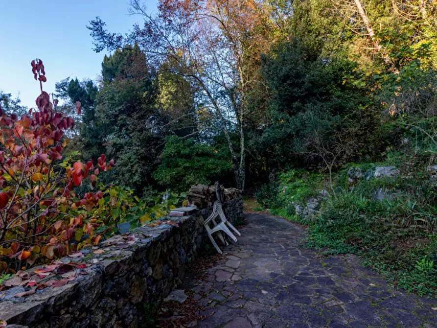 Immagine 11 di Casa indipendente in vendita  a Lerici