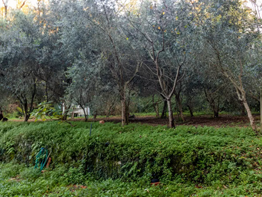 Immagine 12 di Casa indipendente in vendita  a Lerici