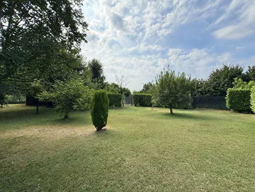 Immagine 29 di Casa indipendente in vendita  a Ospedaletto Euganeo