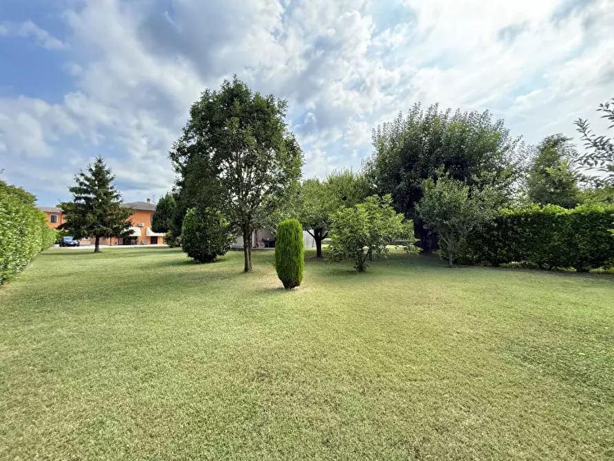 Immagine 30 di Casa indipendente in vendita  a Ospedaletto Euganeo