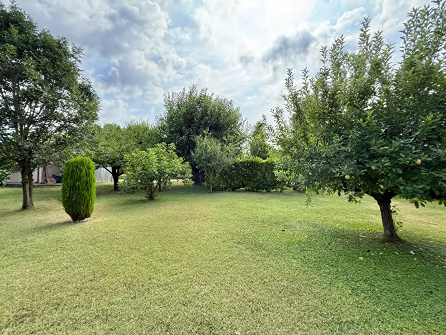 Immagine 31 di Casa indipendente in vendita  a Ospedaletto Euganeo