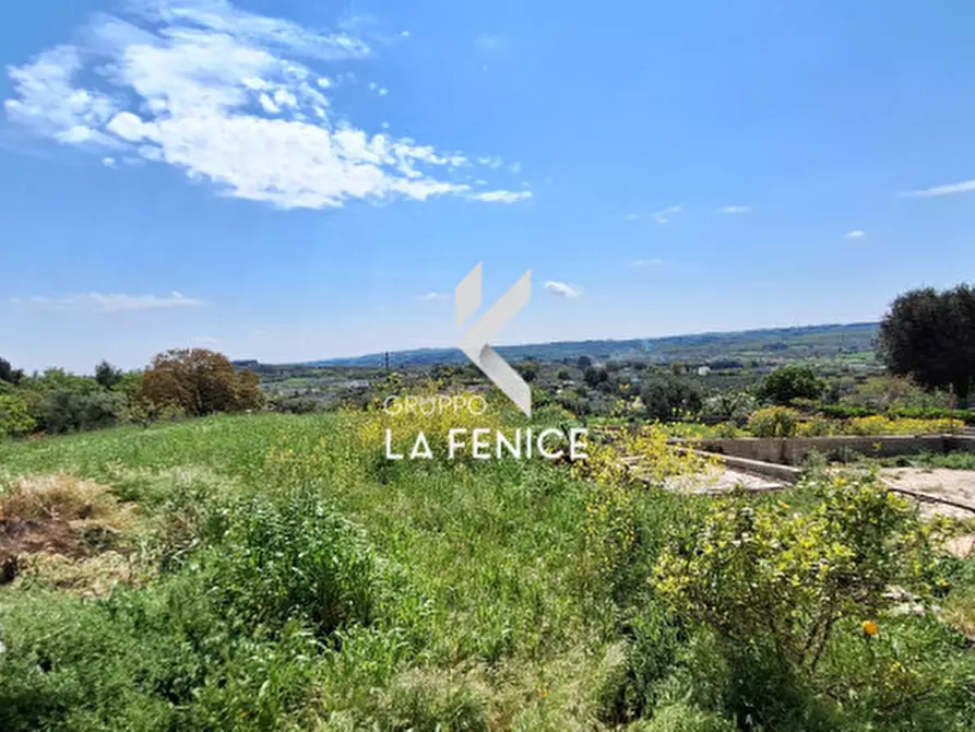Immagine 9 di Rustico / casale in vendita  in c.da cattivolla a Locorotondo