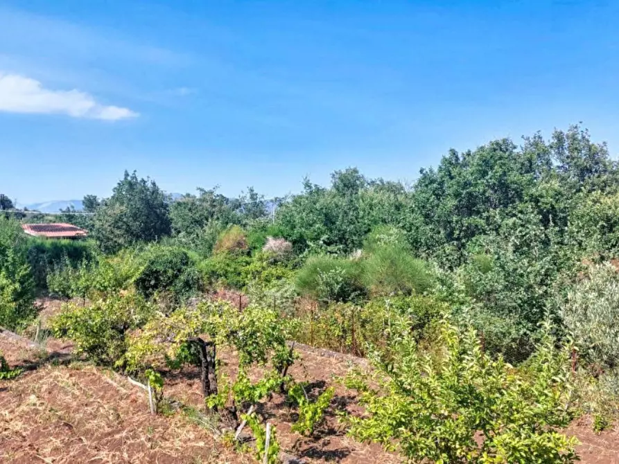 Immagine 2 di Terreno in vendita  in Contrada Nociazza, 95017 Piedimonte Etneo CT, Italia a Piedimonte Etneo