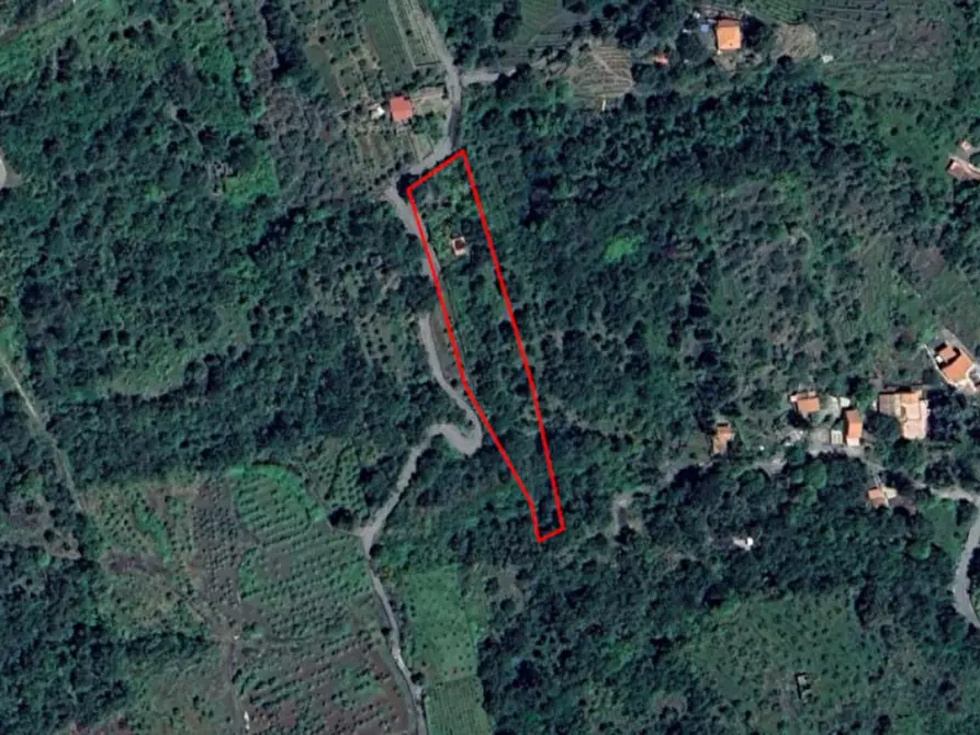 Immagine 1 di Terreno in vendita  in Contrada Nociazza, 95017 Piedimonte Etneo CT, Italia a Piedimonte Etneo