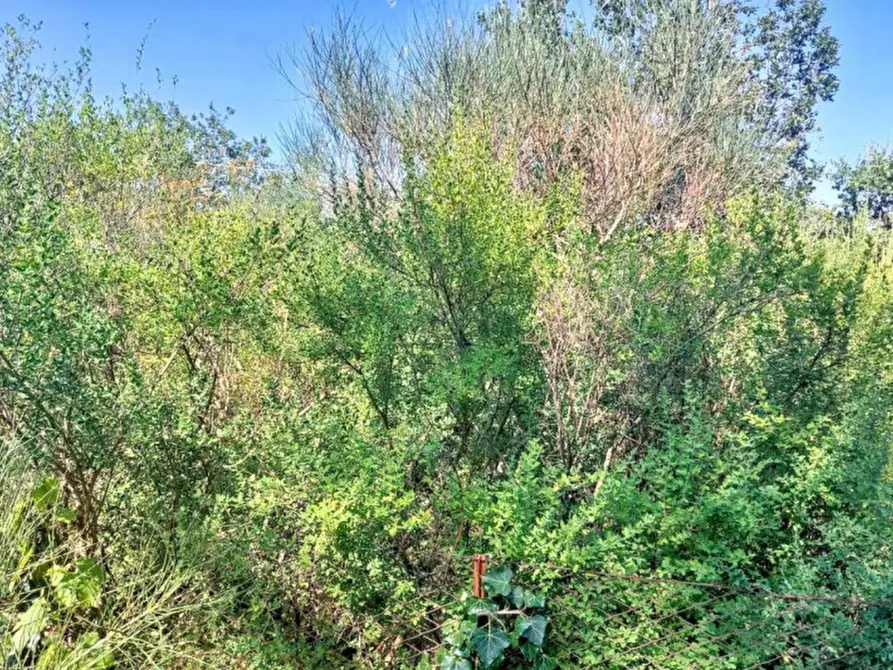 Immagine 5 di Terreno in vendita  in Contrada Nociazza, 95017 Piedimonte Etneo CT, Italia a Piedimonte Etneo