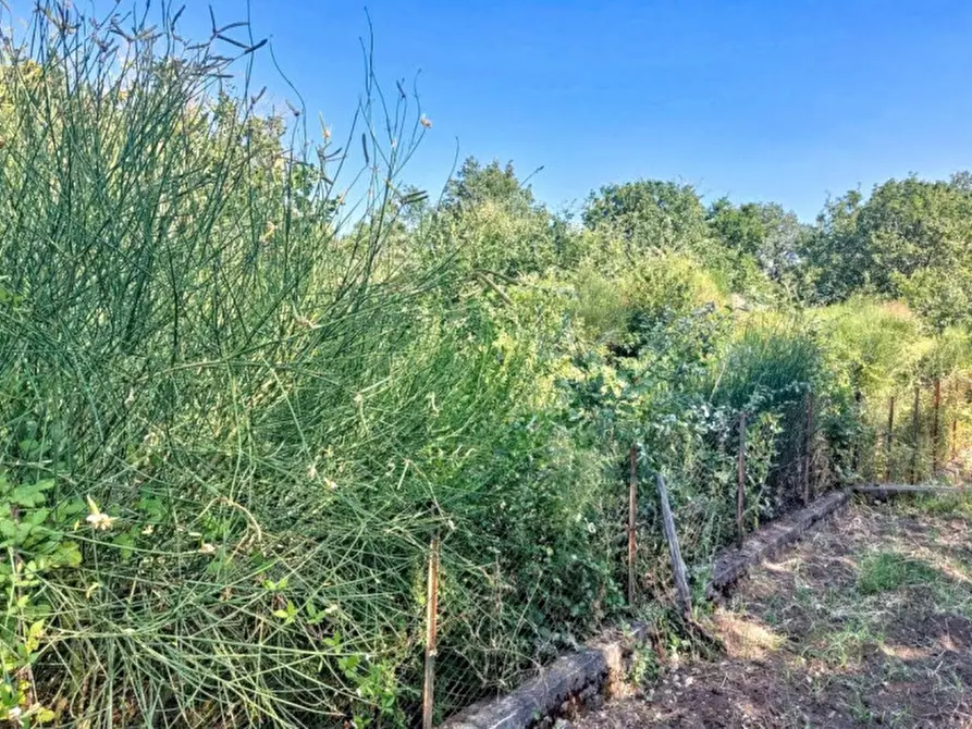 Immagine 6 di Terreno in vendita  in Contrada Nociazza, 95017 Piedimonte Etneo CT, Italia a Piedimonte Etneo