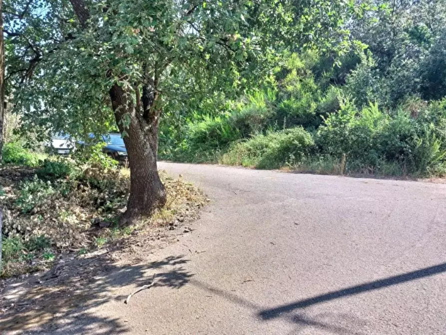 Immagine 9 di Terreno in vendita  in Contrada Nociazza, 95017 Piedimonte Etneo CT, Italia a Piedimonte Etneo