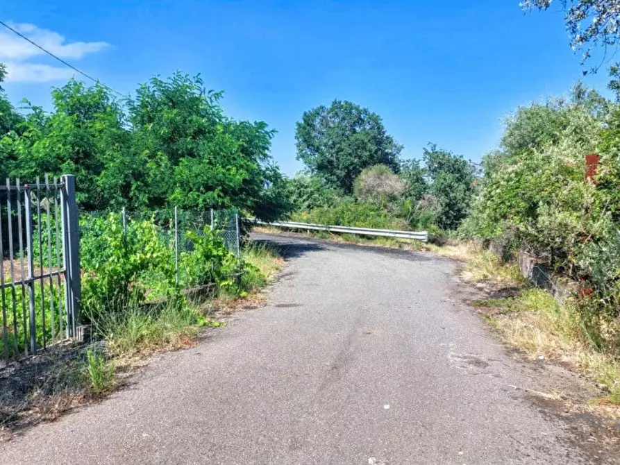 Immagine 10 di Terreno in vendita  in Contrada Nociazza, 95017 Piedimonte Etneo CT, Italia a Piedimonte Etneo