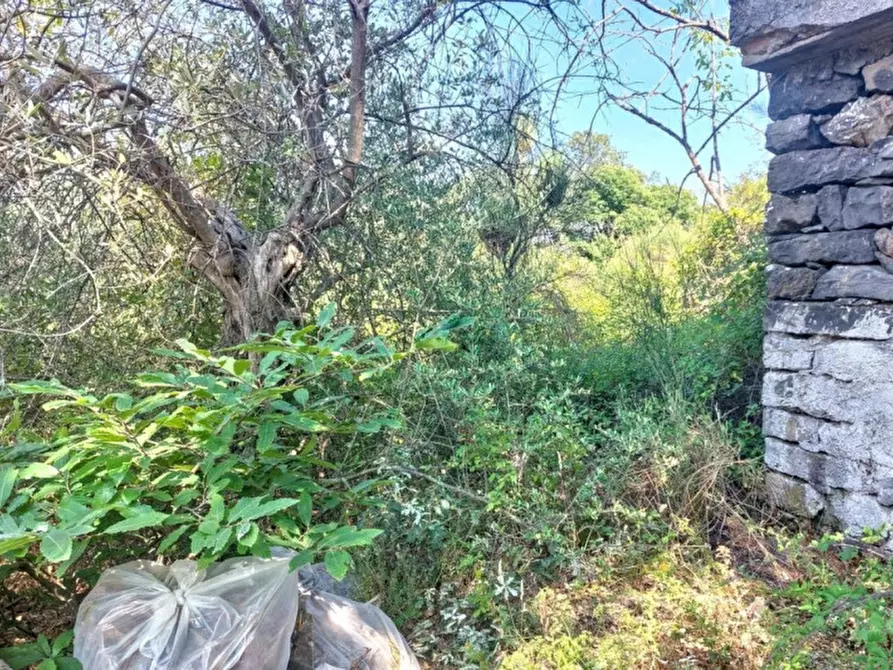 Immagine 11 di Terreno in vendita  in Contrada Nociazza, 95017 Piedimonte Etneo CT, Italia a Piedimonte Etneo