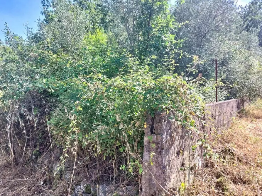 Immagine 12 di Terreno in vendita  in Contrada Nociazza, 95017 Piedimonte Etneo CT, Italia a Piedimonte Etneo