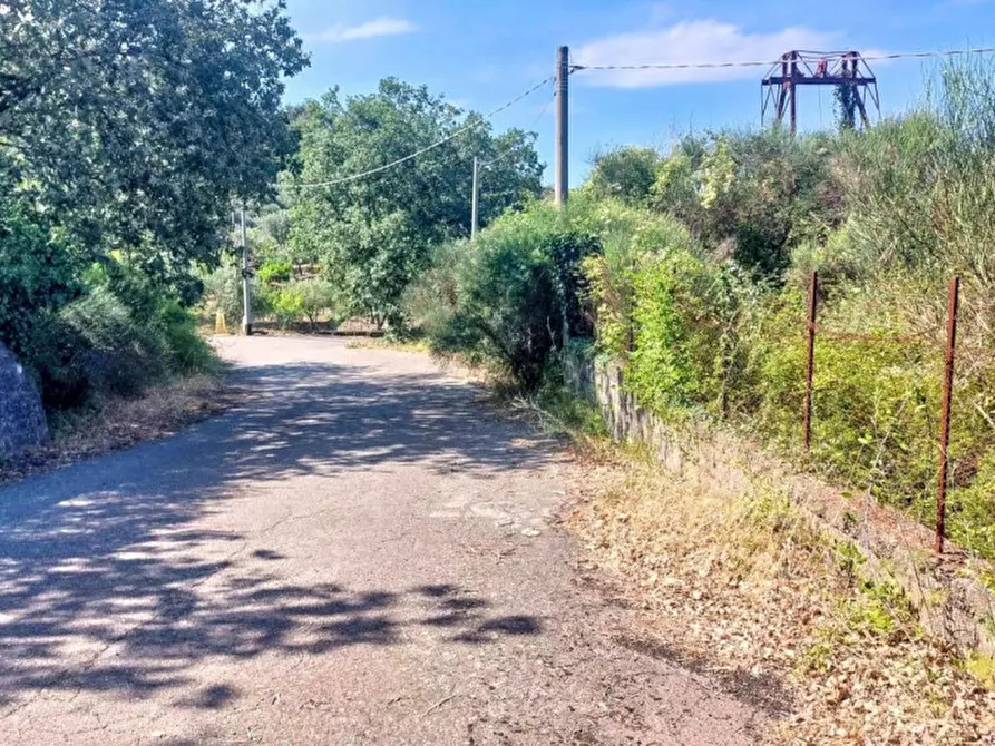 Immagine 14 di Terreno in vendita  in Contrada Nociazza, 95017 Piedimonte Etneo CT, Italia a Piedimonte Etneo