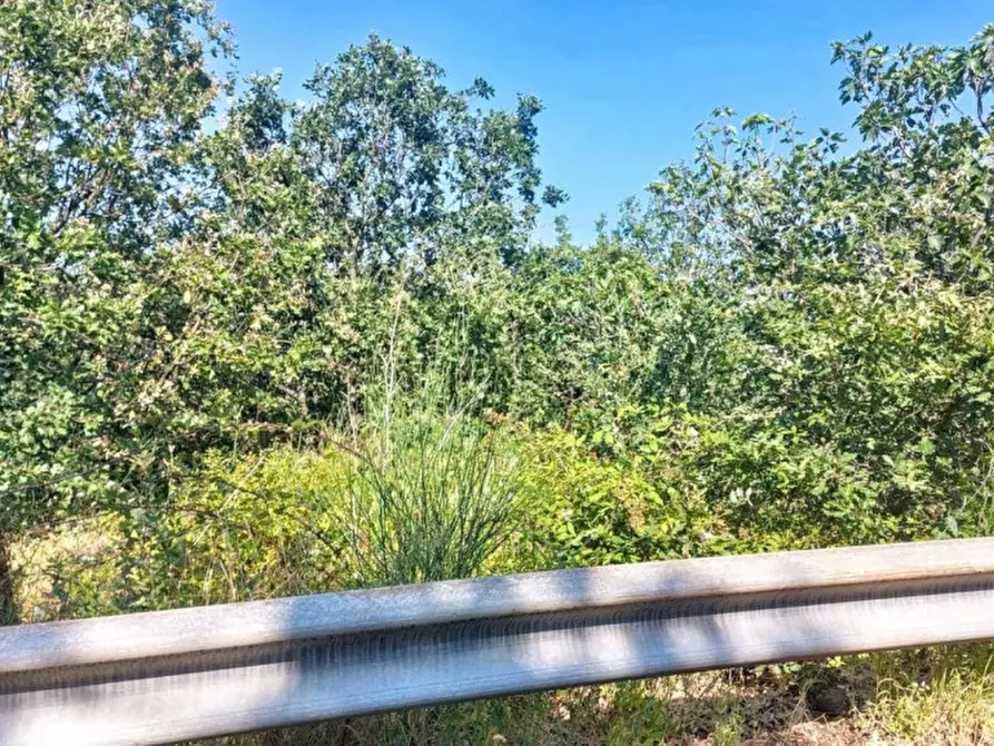 Immagine 15 di Terreno in vendita  in Contrada Nociazza, 95017 Piedimonte Etneo CT, Italia a Piedimonte Etneo
