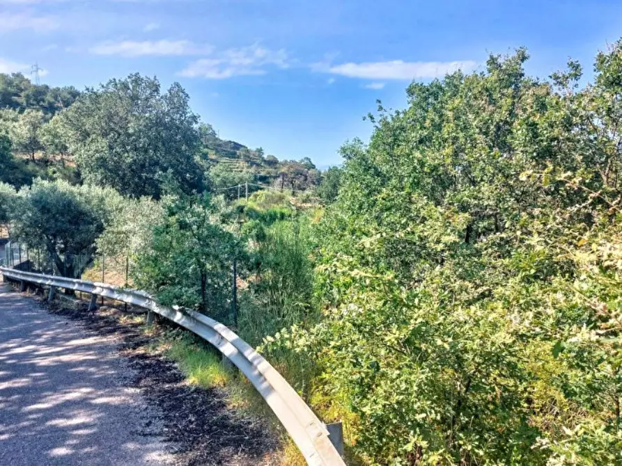 Immagine 16 di Terreno in vendita  in Contrada Nociazza, 95017 Piedimonte Etneo CT, Italia a Piedimonte Etneo