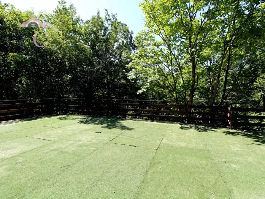 Immagine 12 di Casa indipendente in vendita  a Polino