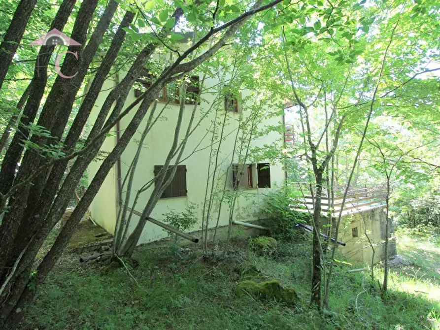 Immagine 16 di Casa indipendente in vendita  a Polino