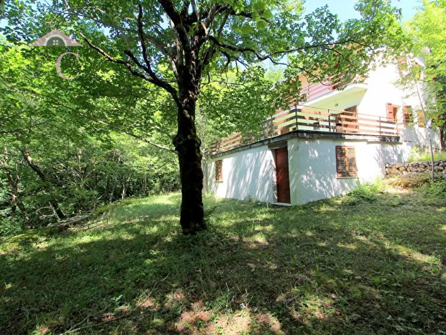 Immagine 17 di Casa indipendente in vendita  a Polino