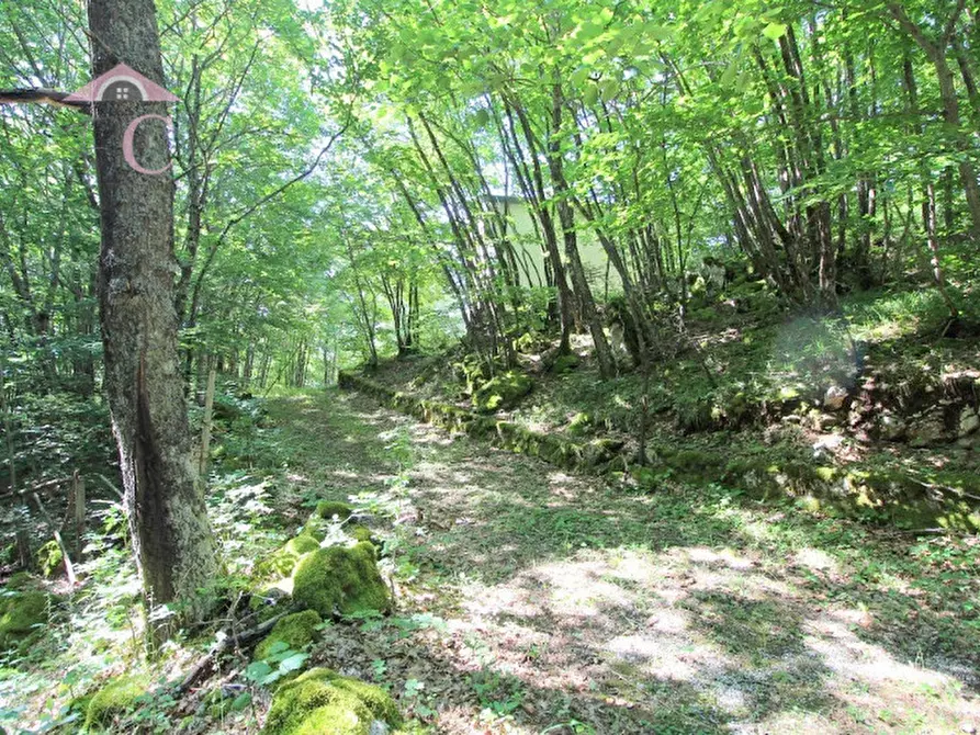 Immagine 20 di Casa indipendente in vendita  a Polino