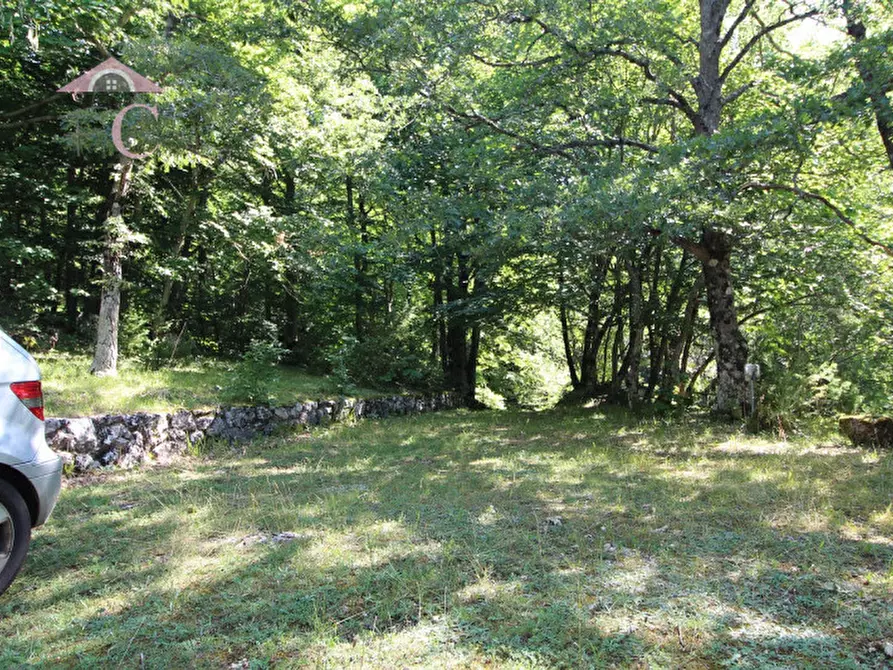 Immagine 5 di Casa indipendente in vendita  a Polino