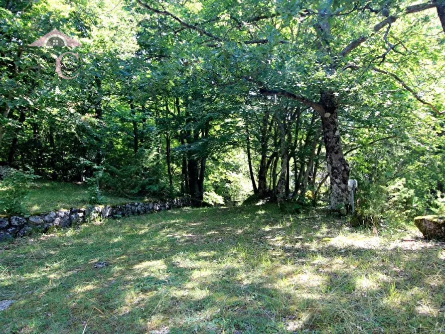 Immagine 6 di Casa indipendente in vendita  a Polino