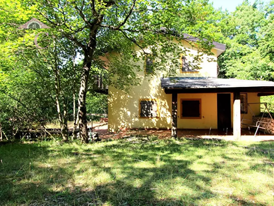 Immagine 7 di Casa indipendente in vendita  a Polino