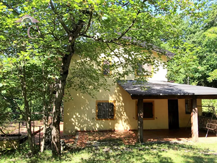 Immagine 8 di Casa indipendente in vendita  a Polino