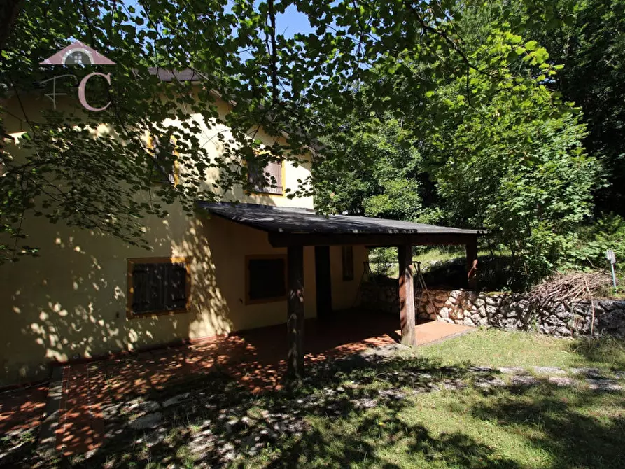 Immagine 9 di Casa indipendente in vendita  a Polino