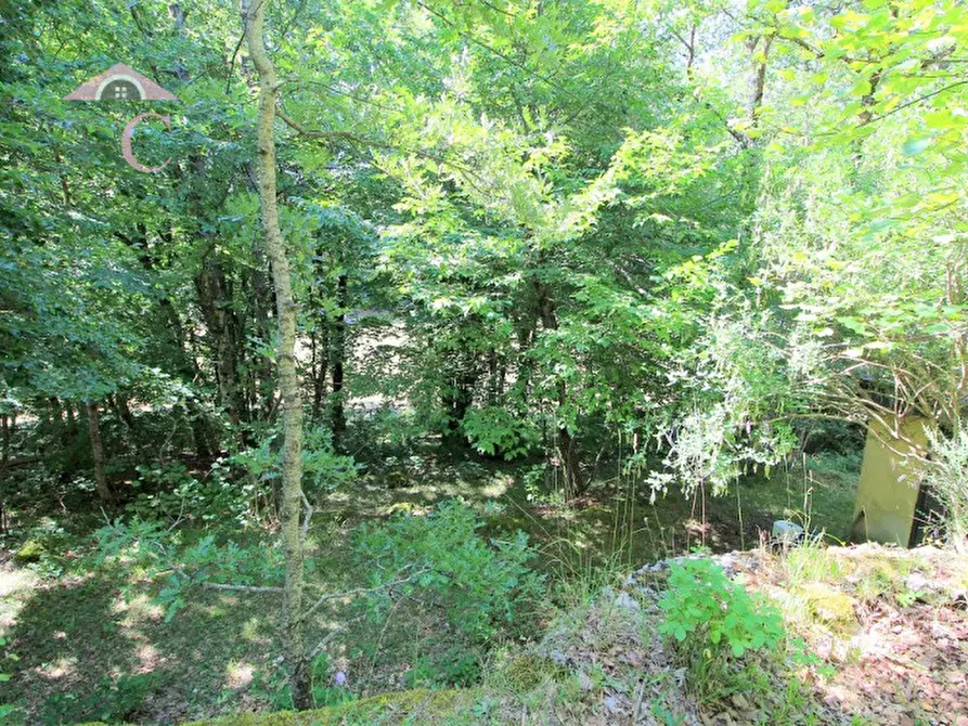 Immagine 10 di Casa indipendente in vendita  a Polino