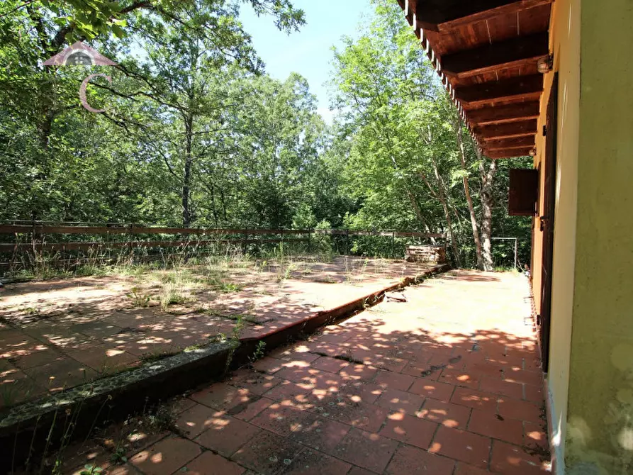 Immagine 11 di Casa indipendente in vendita  a Polino