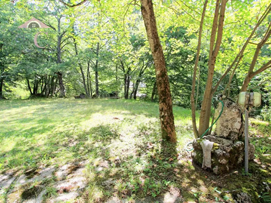 Immagine 13 di Casa indipendente in vendita  a Polino