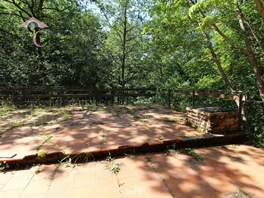 Immagine 19 di Casa indipendente in vendita  a Polino