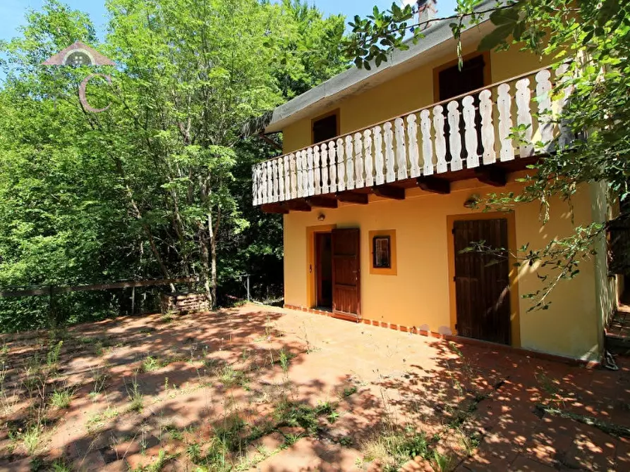 Immagine 23 di Casa indipendente in vendita  a Polino