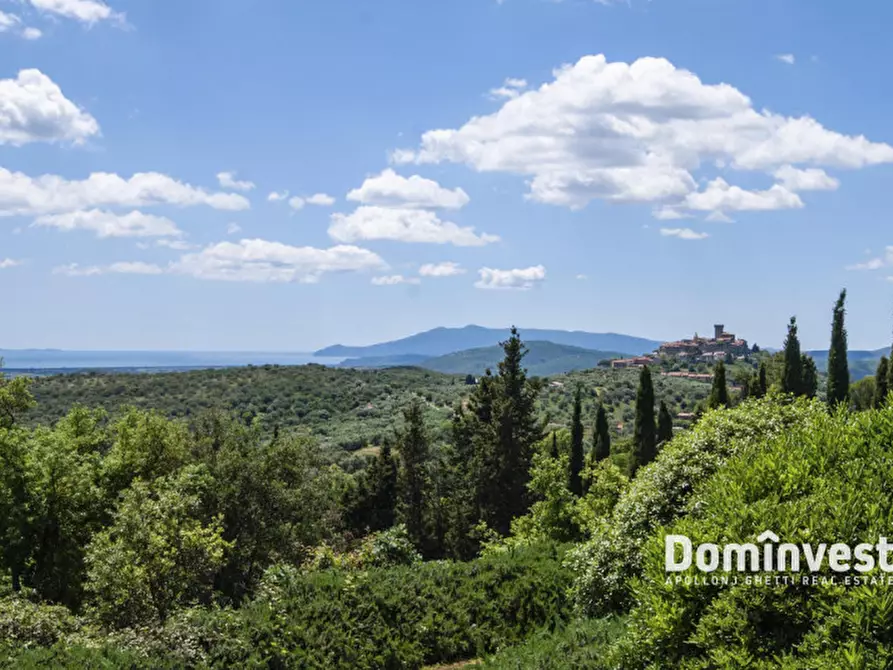 Immagine 24 di Villa in affitto  in Strada Campocane a Capalbio