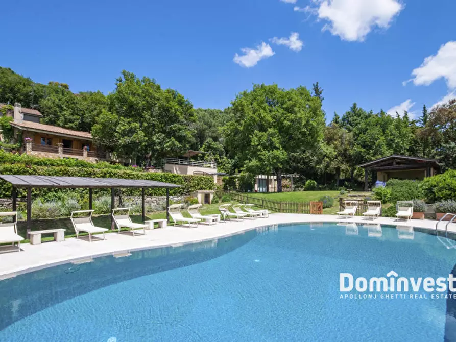 Immagine 35 di Villa in affitto  in Strada Campocane a Capalbio