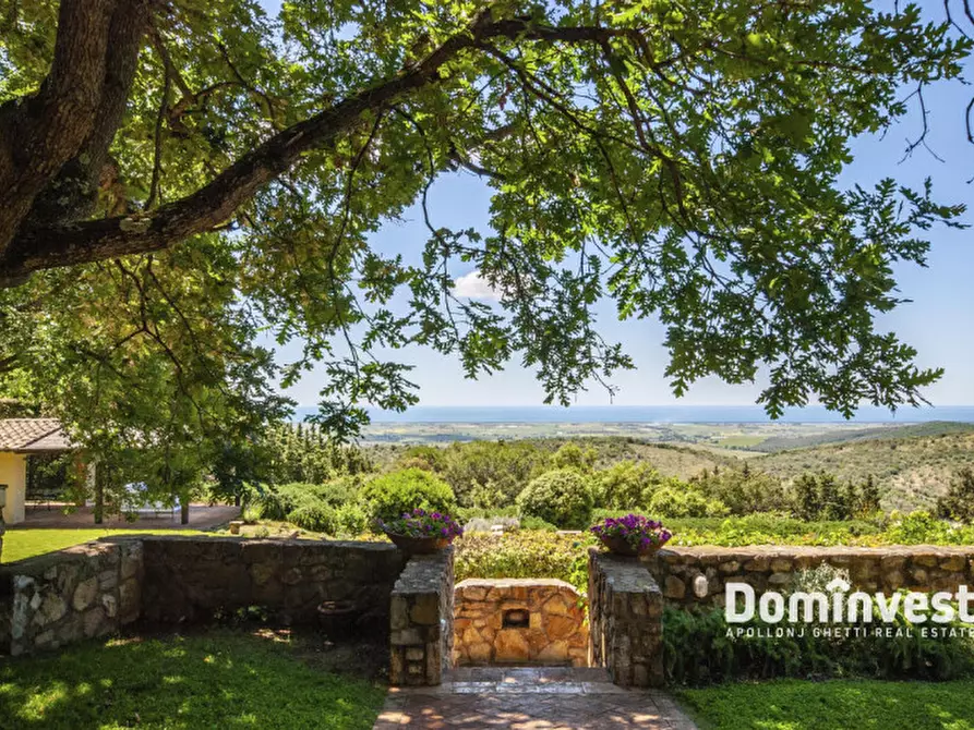 Immagine 38 di Villa in affitto  in Strada Campocane a Capalbio