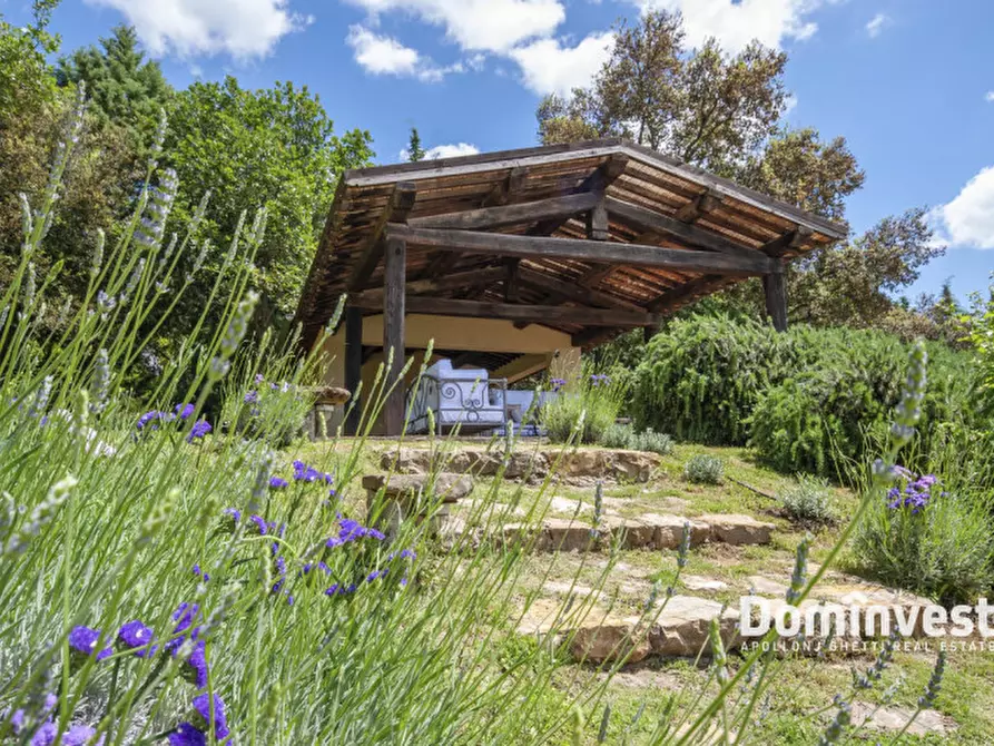 Immagine 39 di Villa in affitto  in Strada Campocane a Capalbio