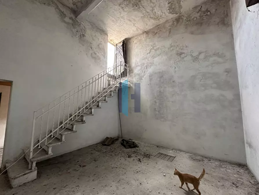 Immagine 21 di Villa in vendita  in via Roma a Remedello