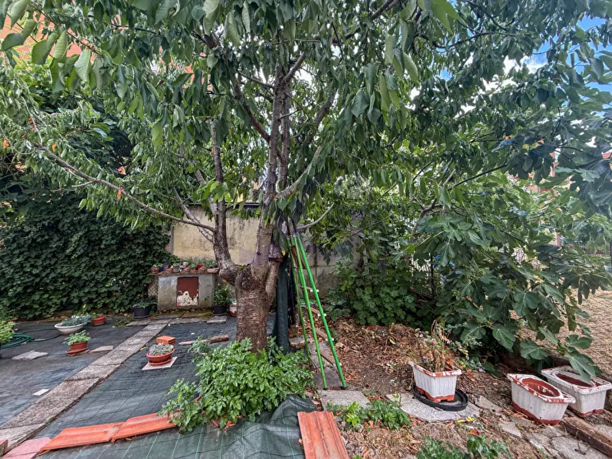 Immagine 3 di Appartamento in vendita  in Località Ceciliano a Arezzo