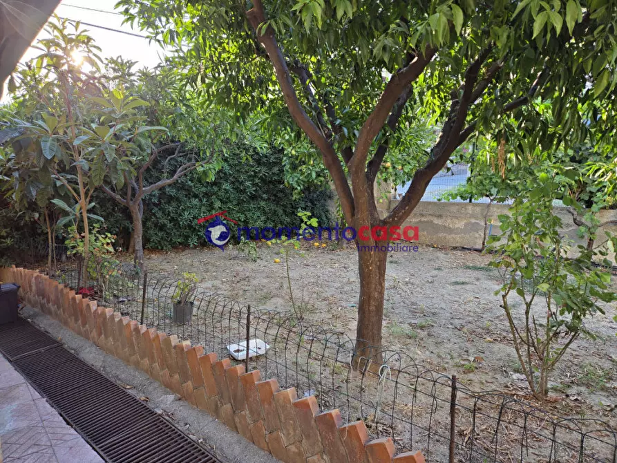 Immagine 4 di Casa bifamiliare in vendita  in contrada gruda a Palizzi