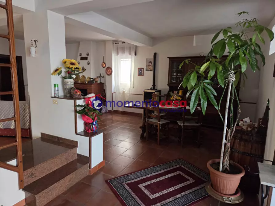 Immagine 13 di Casa bifamiliare in vendita  in contrada gruda a Palizzi