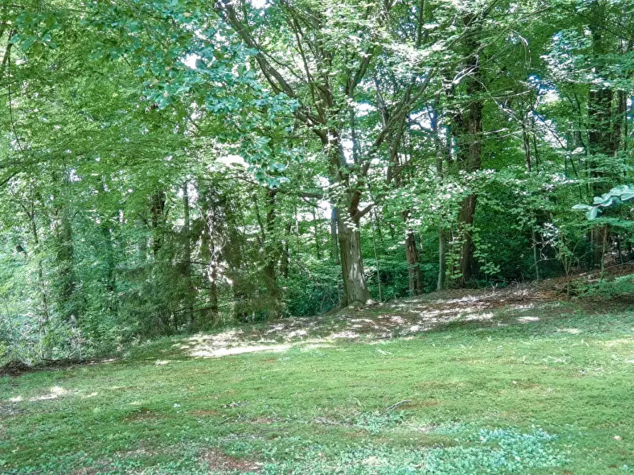 Immagine 45 di Villa in vendita  in Via del Borgna 8 a Gignese