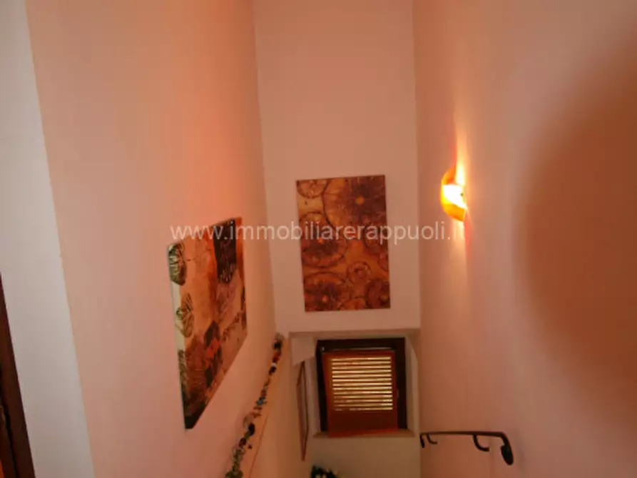 Immagine 14 di Villetta a schiera in vendita  a Sinalunga