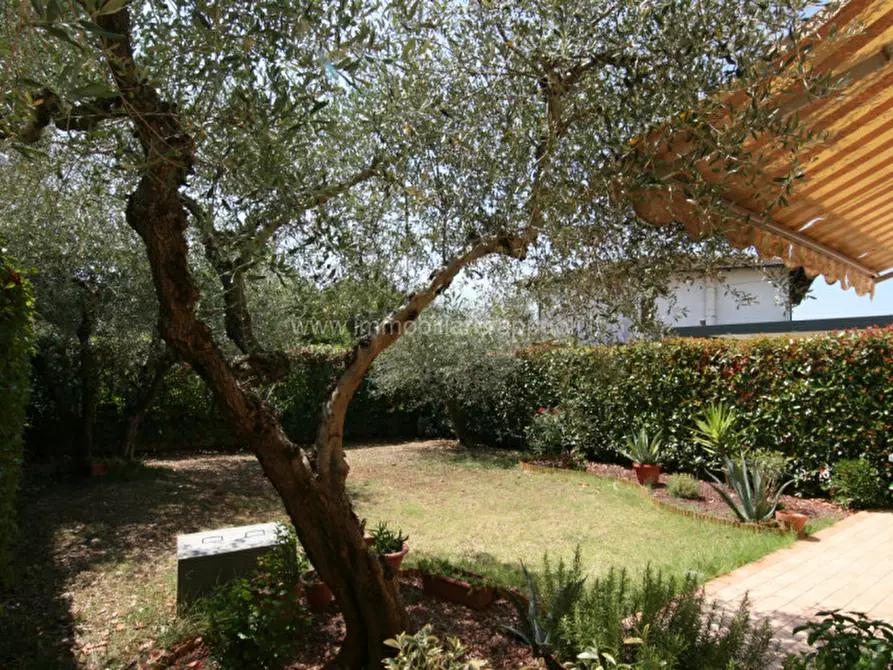 Immagine 27 di Villetta a schiera in vendita  a Sinalunga