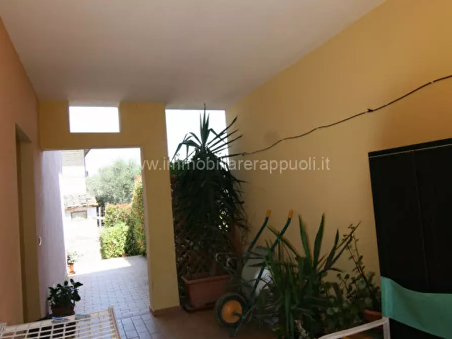 Immagine 29 di Villetta a schiera in vendita  a Sinalunga