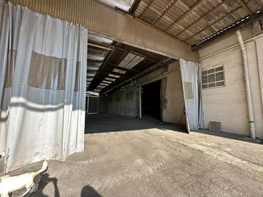 Immagine 2 di Magazzino in vendita  in Strada provinciale 18 a Albaredo D'adige