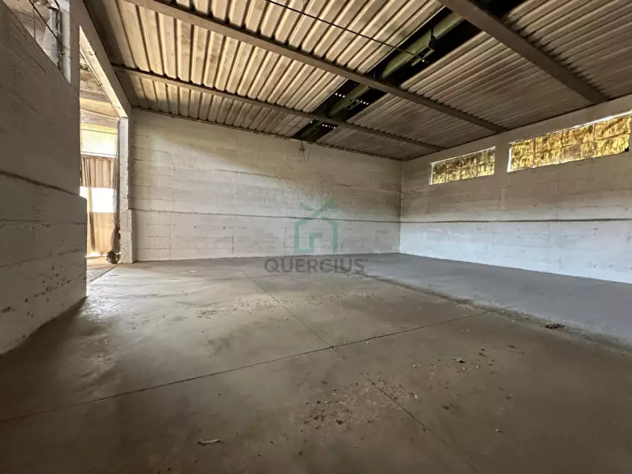 Immagine 10 di Magazzino in vendita  in Strada provinciale 18 a Albaredo D'adige