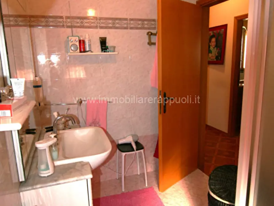 Immagine 14 di Appartamento in vendita  a Lucignano