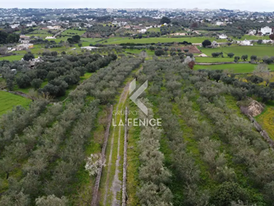 Immagine 3 di Rustico / casale in vendita  in contrada montemichele a Martina Franca