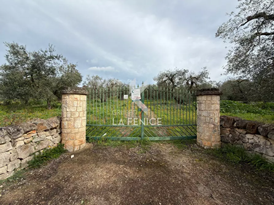 Immagine 6 di Rustico / casale in vendita  in contrada montemichele a Martina Franca