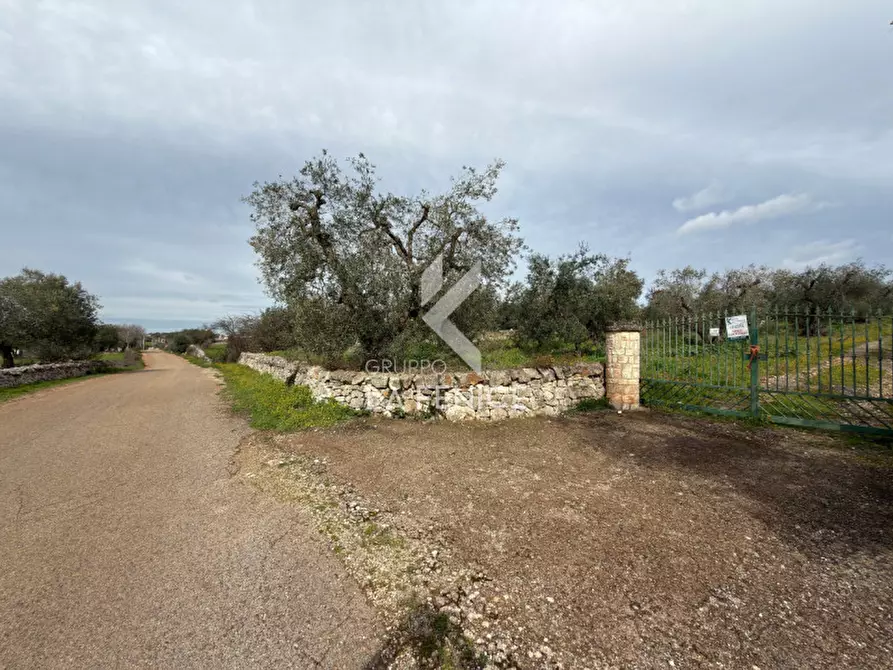 Immagine 7 di Rustico / casale in vendita  in contrada montemichele a Martina Franca