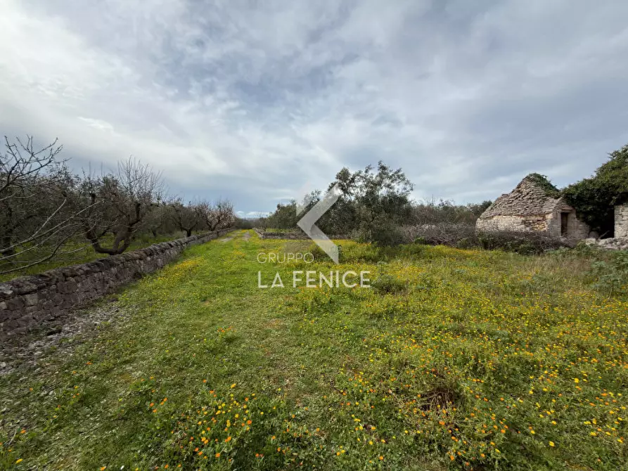 Immagine 9 di Rustico / casale in vendita  in contrada montemichele a Martina Franca